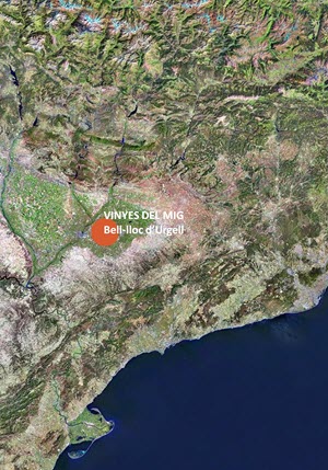 VINYES DEL MIG · Bell·lloc d’Urgell VINYES DEL MIG · Bell·lloc d’Urgell