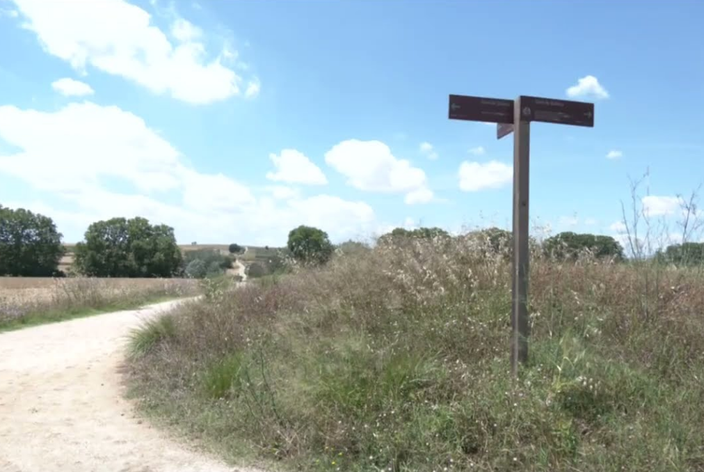 L’INCASÒL convoca el concurs per regularitzar els terrenys de conreu dins l’àmbit del Parc de l’Espai d’Interès Natural de Gallecs.